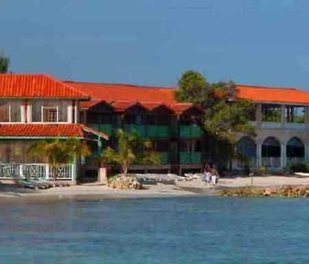 פאלמאות' N-Resort מראה חיצוני תמונה